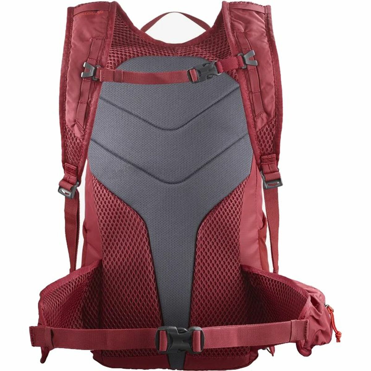 Wanderrucksack Salomon Trailblazer 20 Dunkelrot