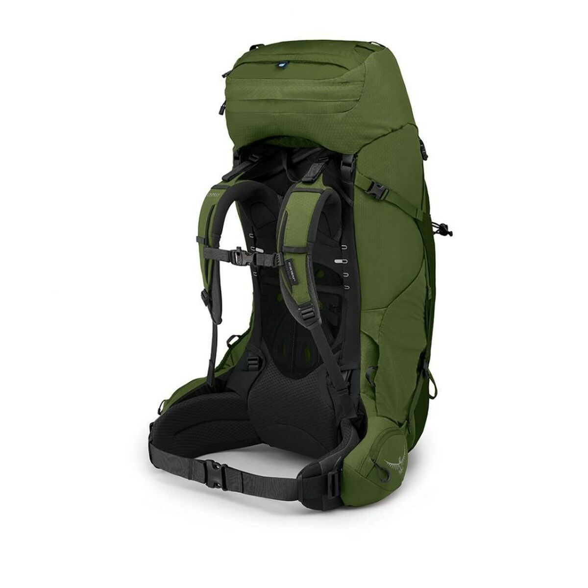 Wanderrucksack OSPREY Aether grün Schwarzweiß Nylon 65 L