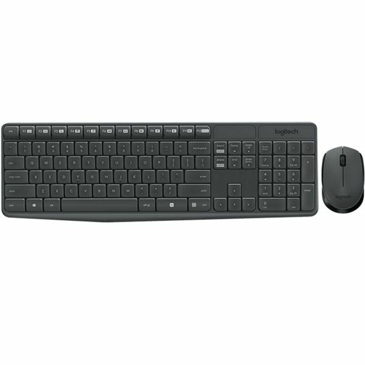 Tastatur mit Drahtloser Maus Logitech 920-007919