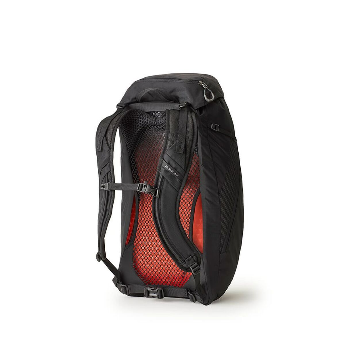 Mehrzweckrucksack Gregory  ARRIO 24 Schwarz