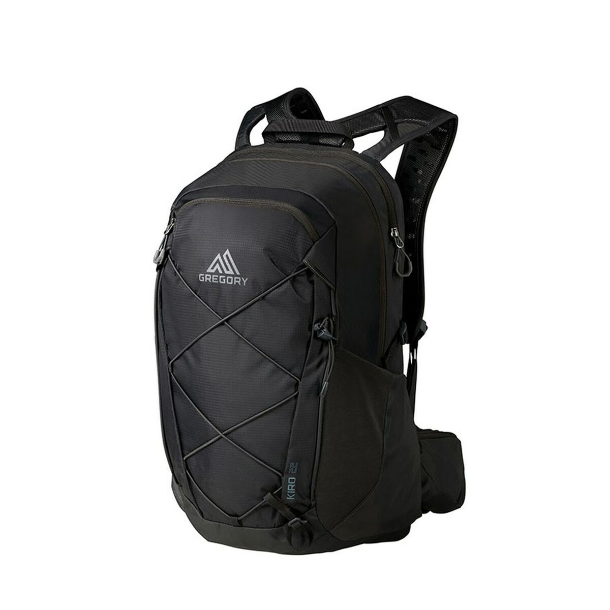 Mehrzweckrucksack Gregory Kiro 22 Schwarz