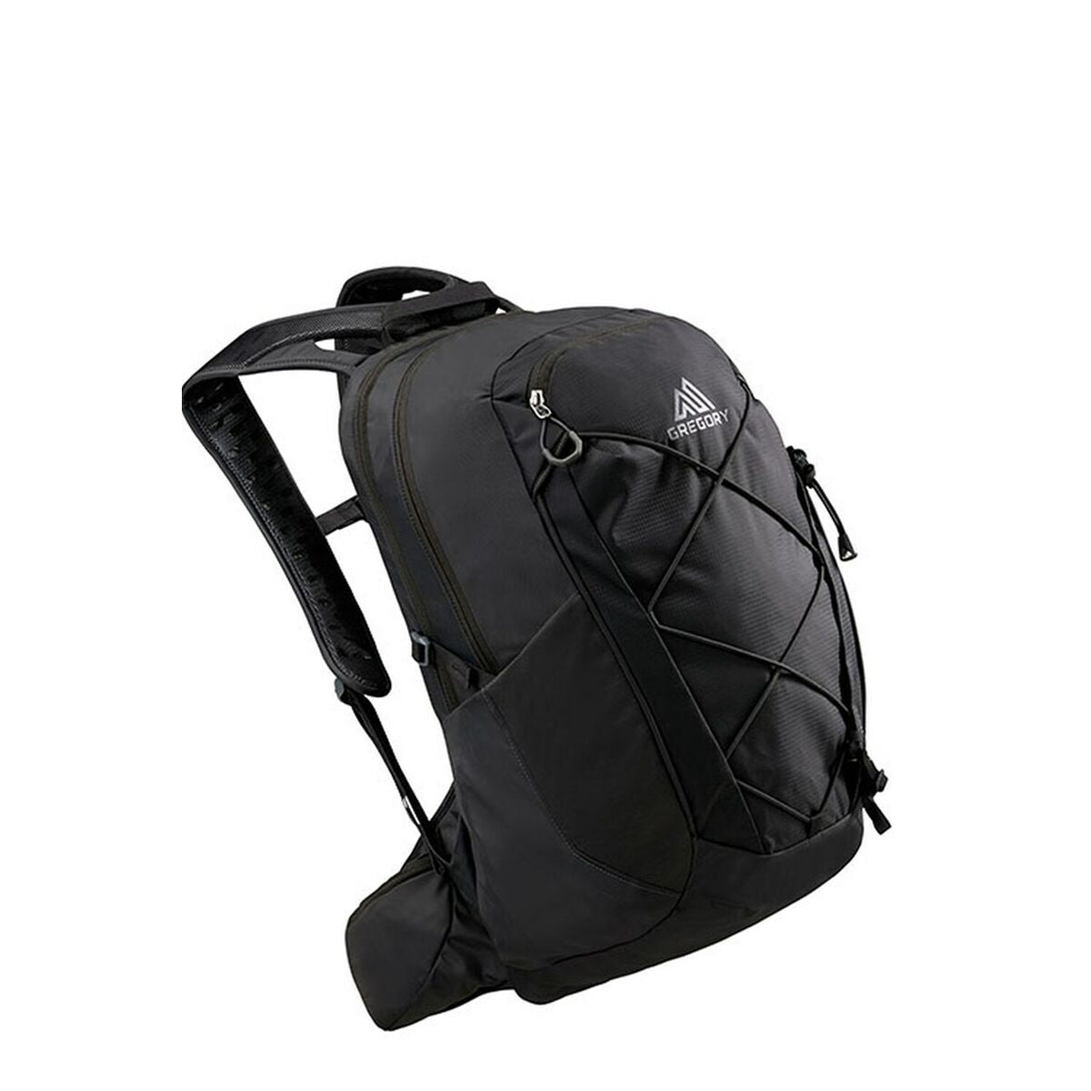 Mehrzweckrucksack Gregory Kiro 22 Schwarz