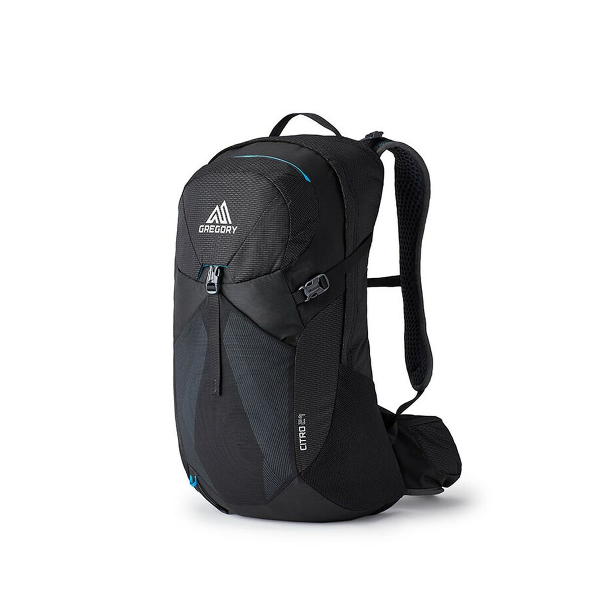 Mehrzweckrucksack Gregory Citro 24 Schwarz