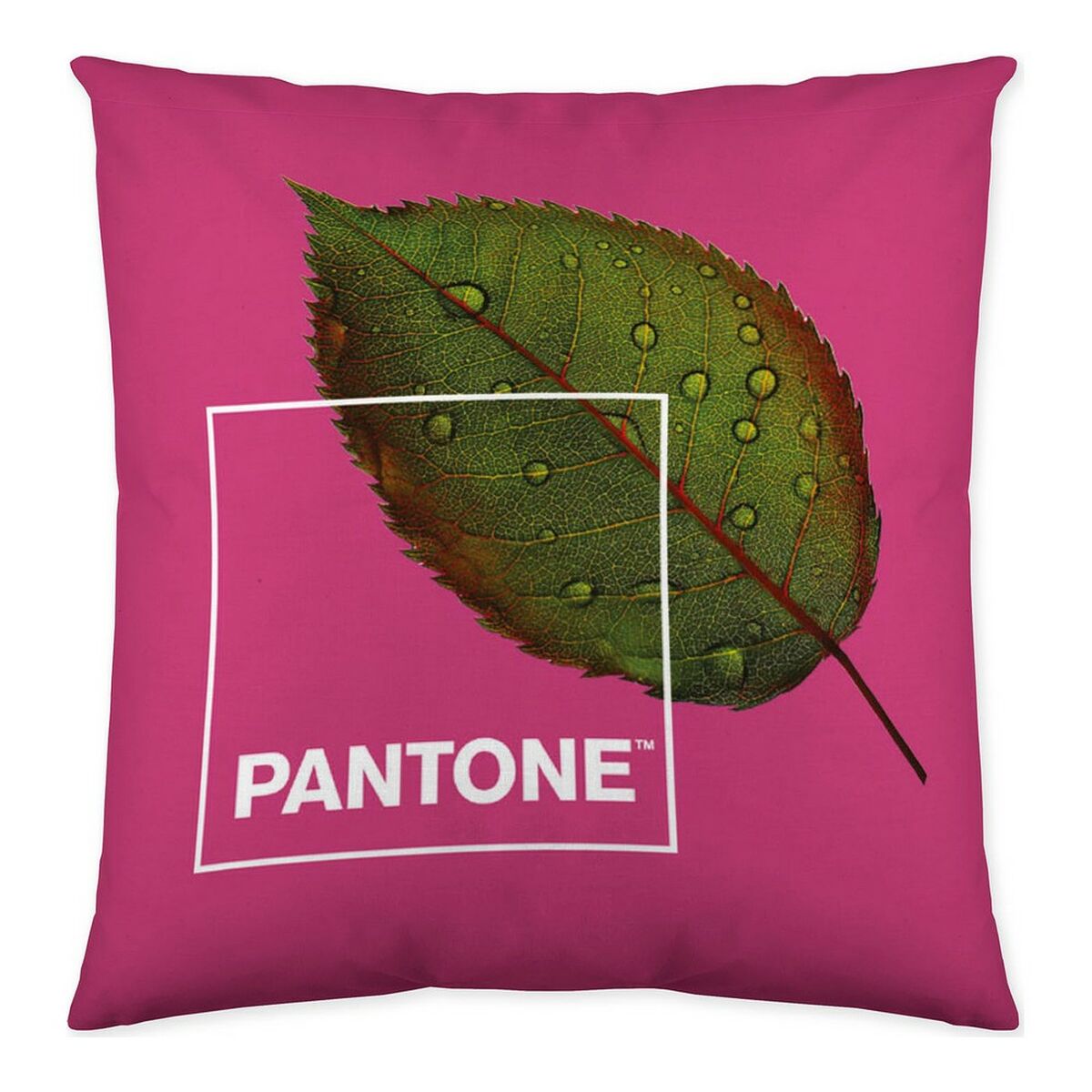 Kissenbezug Nature Pantone Reversibel 50 x 50 cm