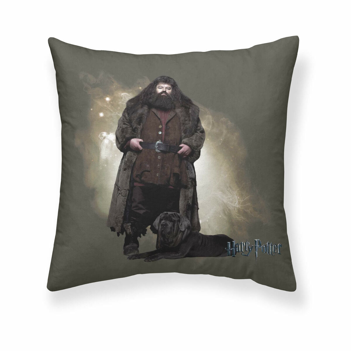 Kissenbezug Harry Potter Hagrid 50 x 50 cm