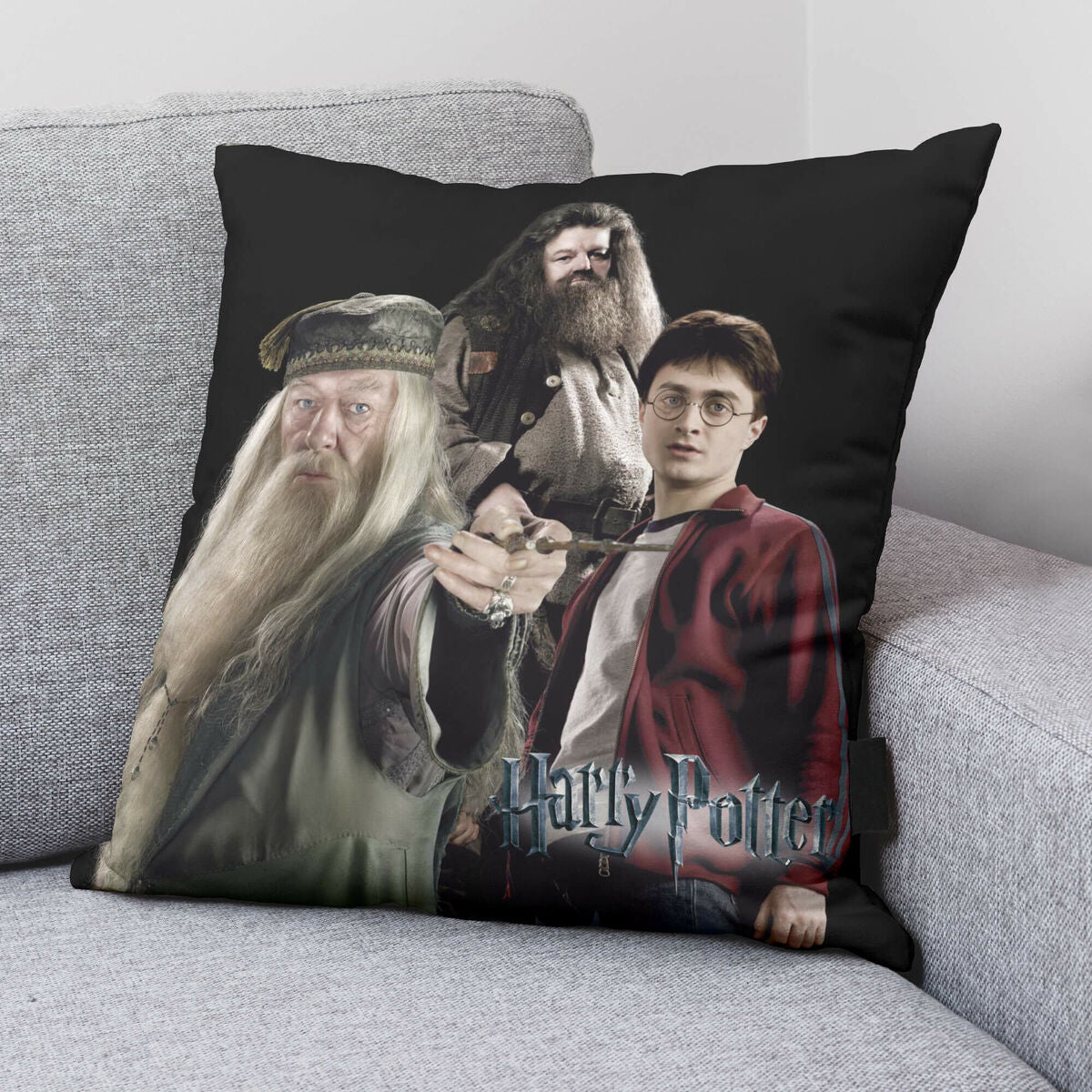 Kissenbezug Harry Potter Team 50 x 50 cm