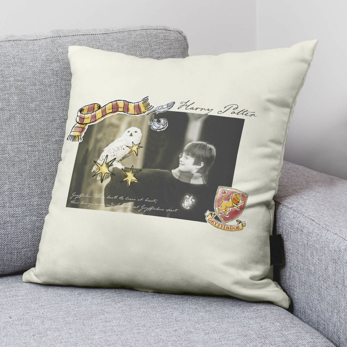 Kissenbezug Harry Potter Little Memories 50 x 50 cm