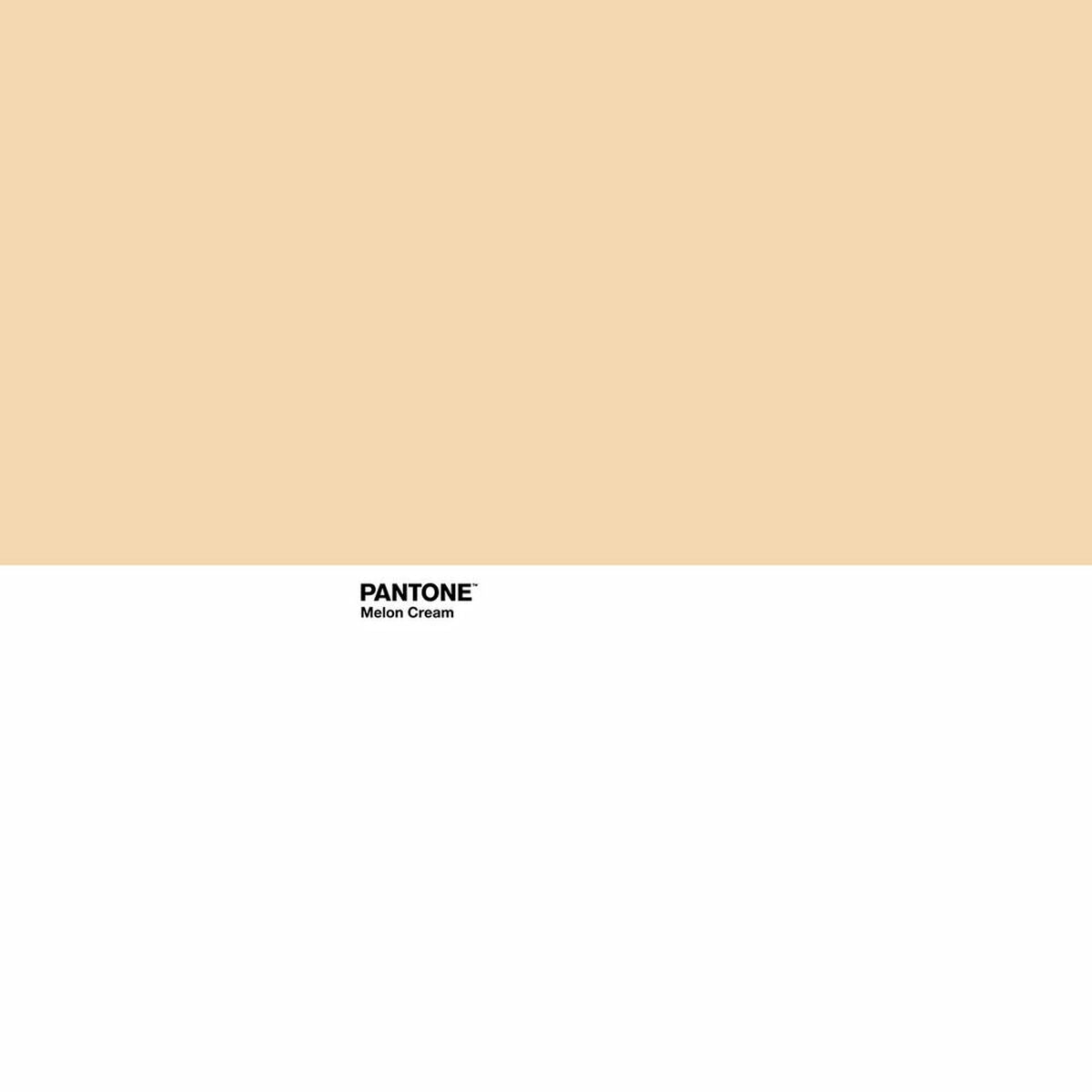 Bettdeckenbezug Pantone Melon Cream Doppelmatratze (240 x 220 cm)