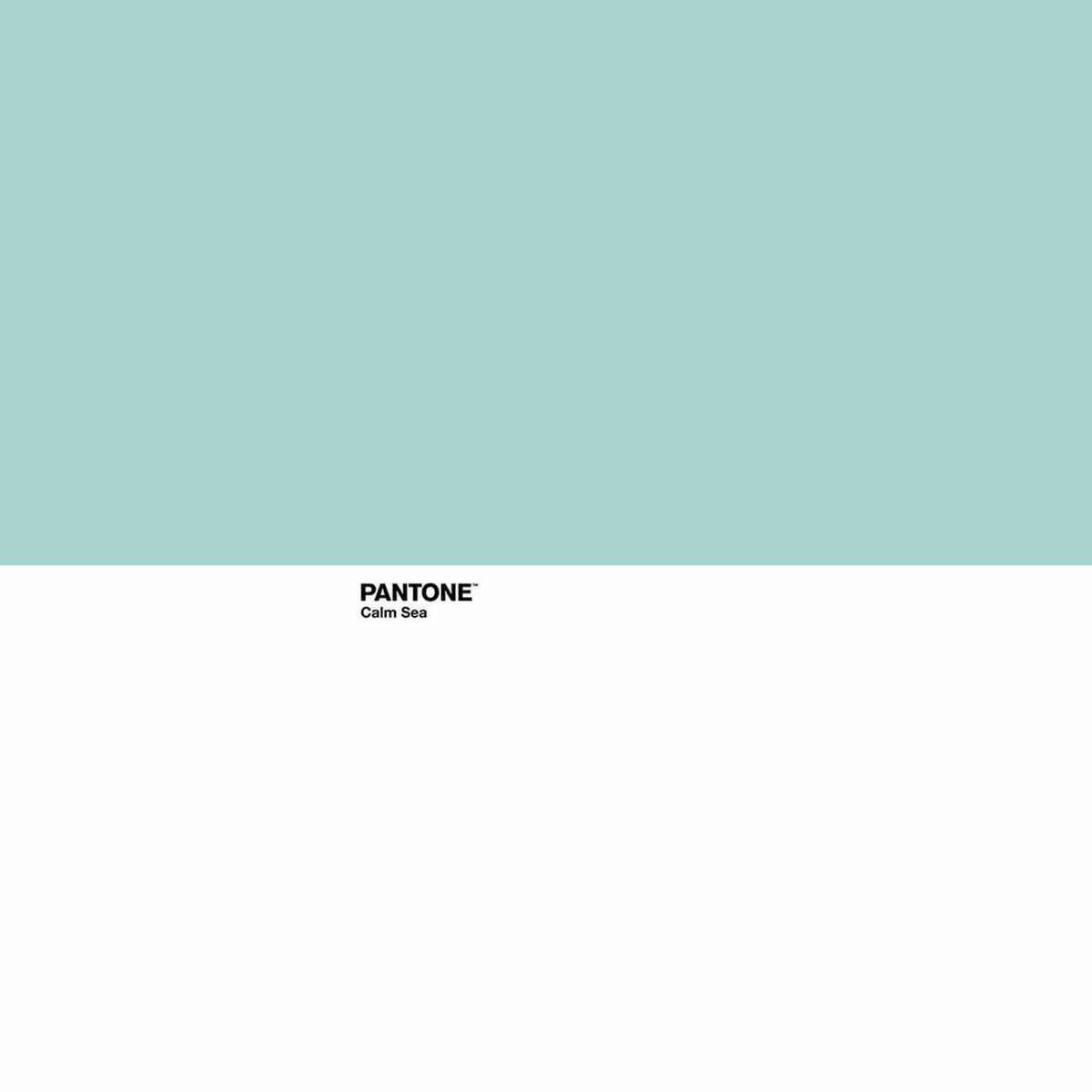 Bettdeckenbezug Pantone Calm Sea Double size (220 x 220 cm)