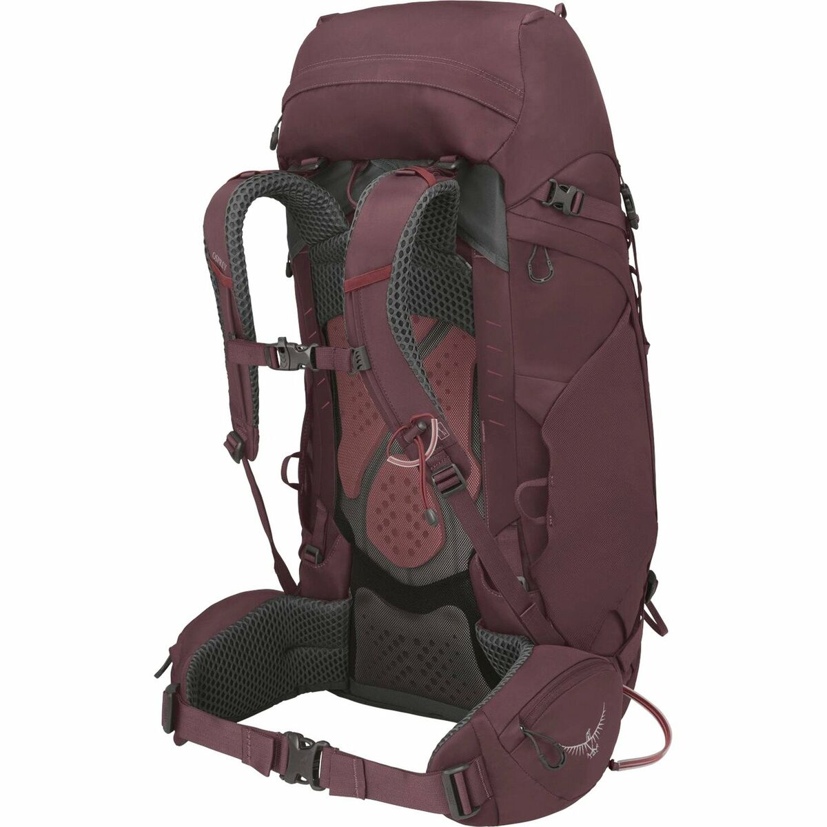 Wanderrucksack OSPREY Kyte 48 L Purpur