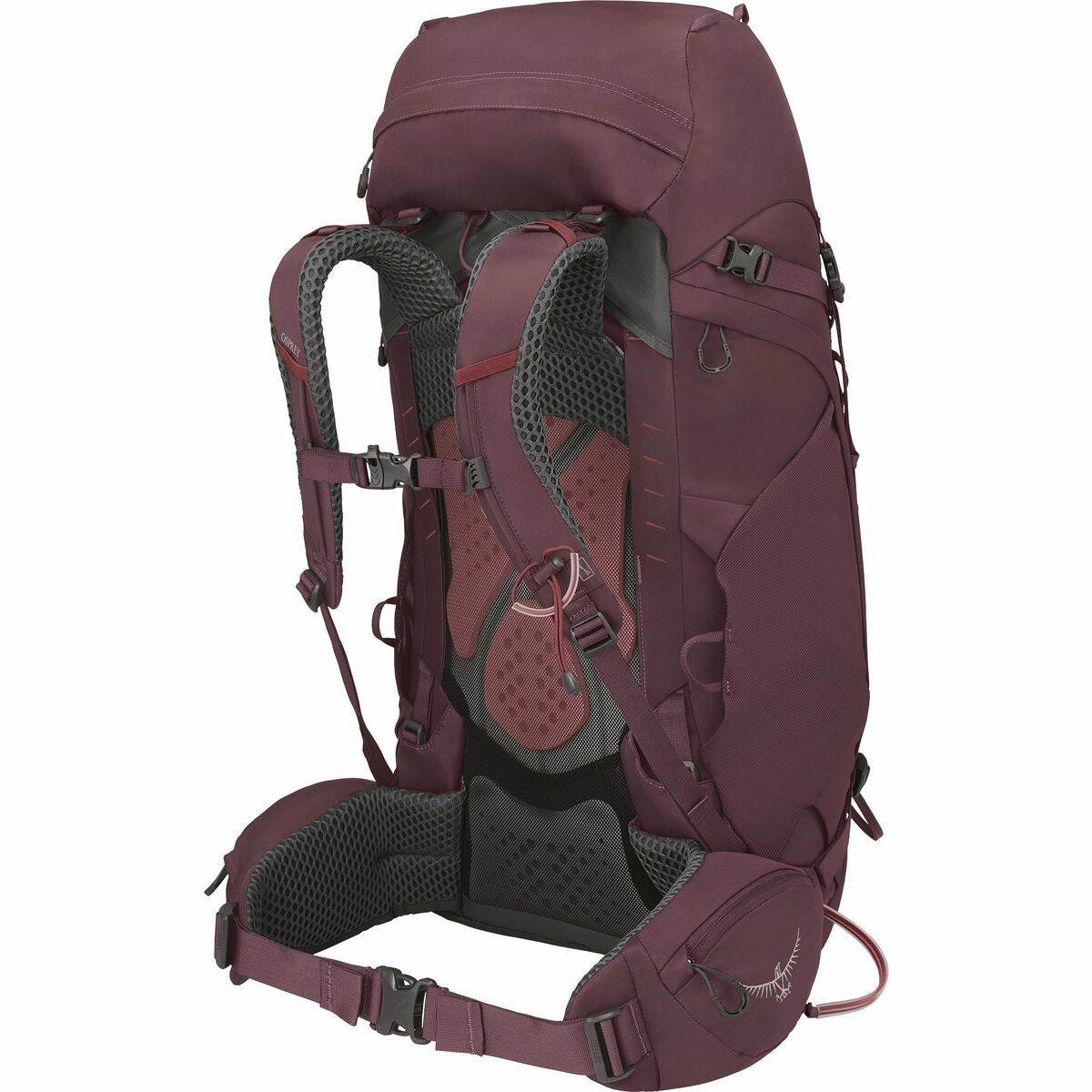 Wanderrucksack OSPREY Kyte 48 L Purpur