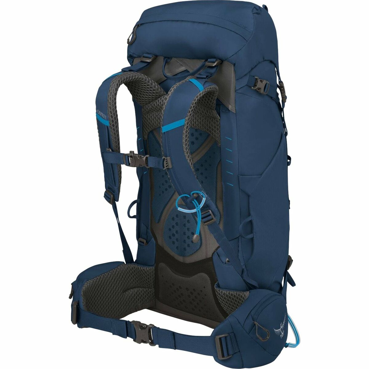 Wanderrucksack OSPREY Kestrel Blau 38 L