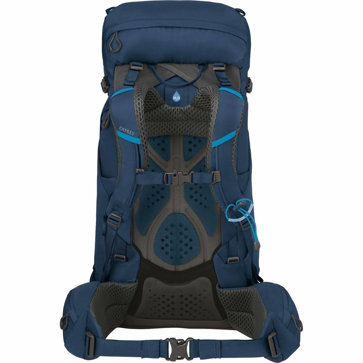 Wanderrucksack OSPREY Kestrel Blau 38 L